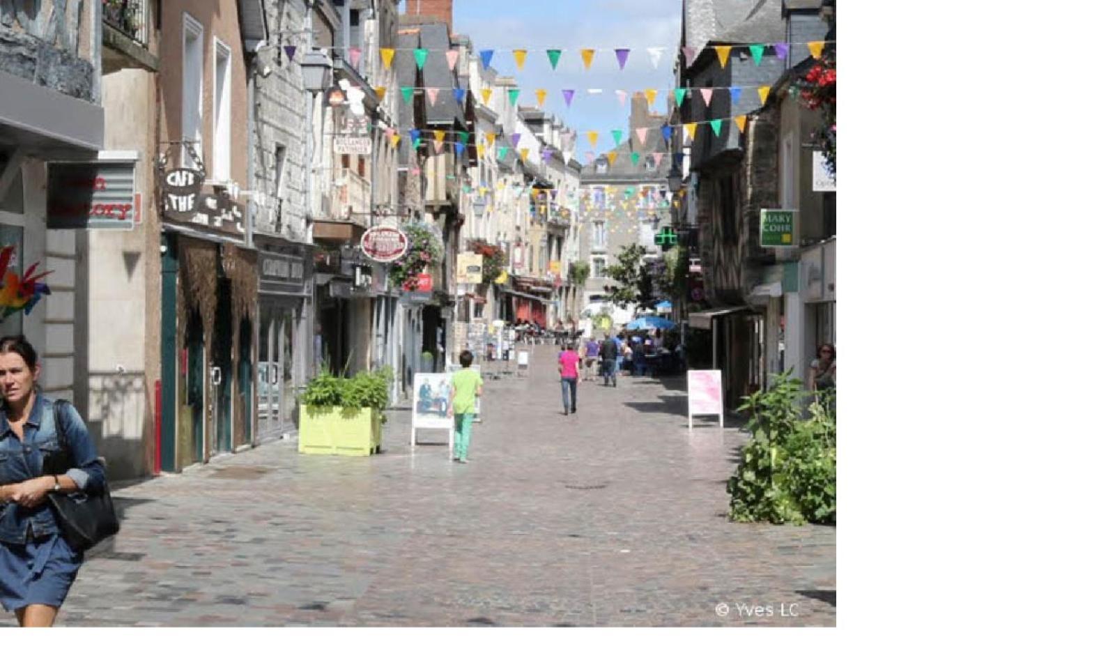 Spacieux T3 Lumineux Dans Quartier Historique Avec Wifi Redon Eksteriør billede